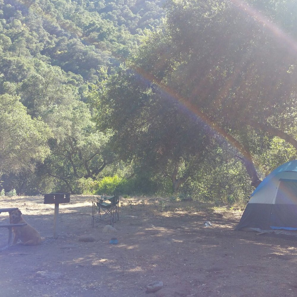Arroyo Seco Campground - Site 40, my site - Campgrounds Near Me - Greenfield, California