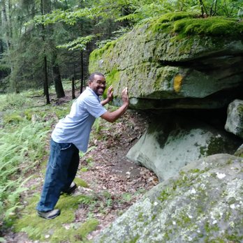 Clear Creek State Park - Parks Near Me - Sigel, Pennsylvania