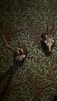 The White Hart by null