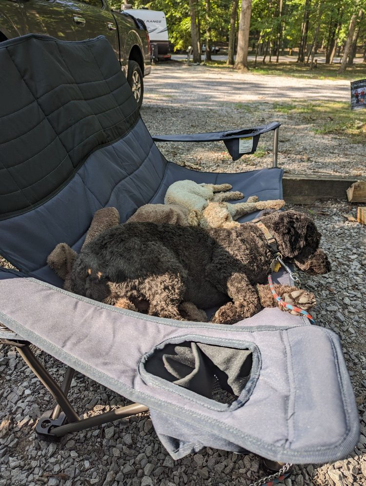 Reviews of SALT RIVER VETERINARY CLINIC Updated September 2024 11 Reviews 246 Taylorsville