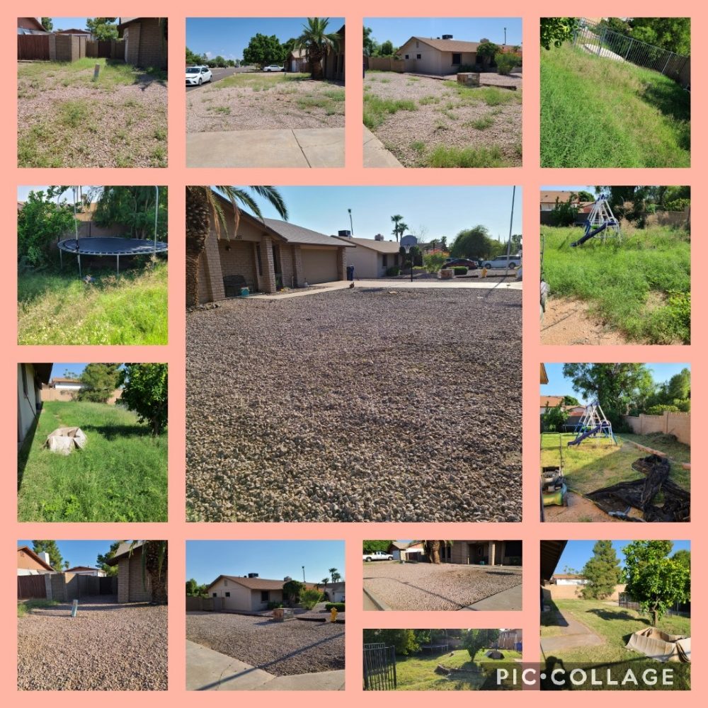 lawn service providers