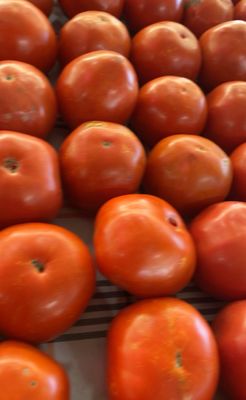 Pee Dee State Farmers Market by null