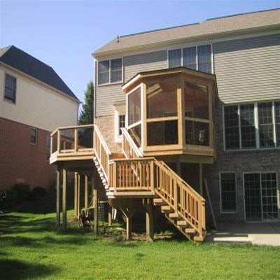 Slide of Quetzal Painting