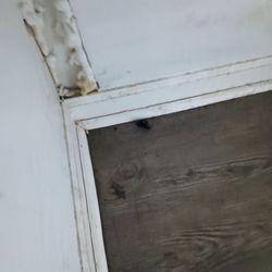 Central Park Apartments - Roaches before moving in.