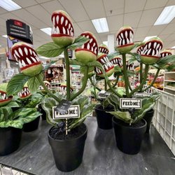 Michaels - Cute plants