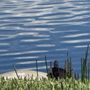 Photo of Lakes Of Tuscana