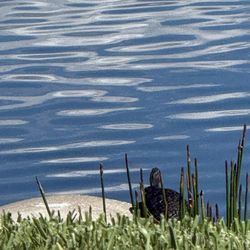 Lakes Of Tuscana