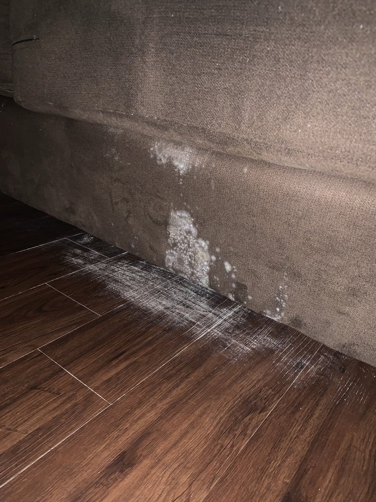 The District at South - property management company in Mobile, AL