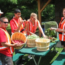 Community Service 101 - Sorting Veggies from the Community Service Gardens. All produce grown goes to local food banks for distribution to the needy.