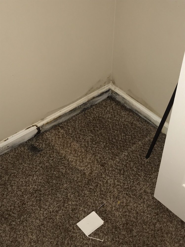 AMERICAN HOMES 4 RENT 17 Photos & 60 Reviews Property Management