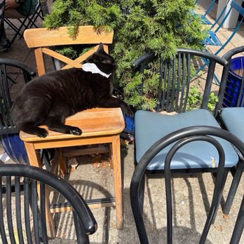 Le Bon Cafe - Coffee & Tea Near Me - Washington, DC, District of Columbia