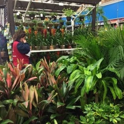 Lowe's Home Improvement