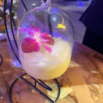 Forbidden Llama - Vaccine - Breakfast & Brunch Near Me - Middletown, Connecticut
