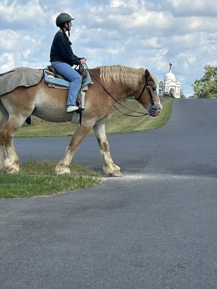 National Riding Stables Logo