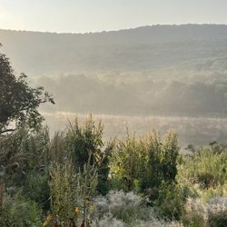 Dai Bosatsu Zendo Kongo-ji - Beecher Lake in a late July early morning.
