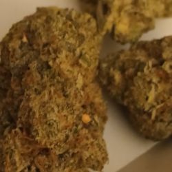 Green Tiger Marijuana Delivery - White Lotus