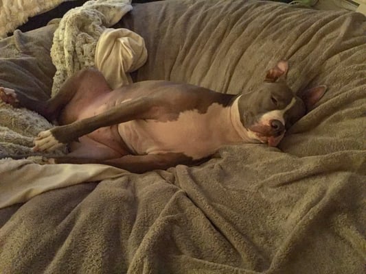 Crate Escape by null