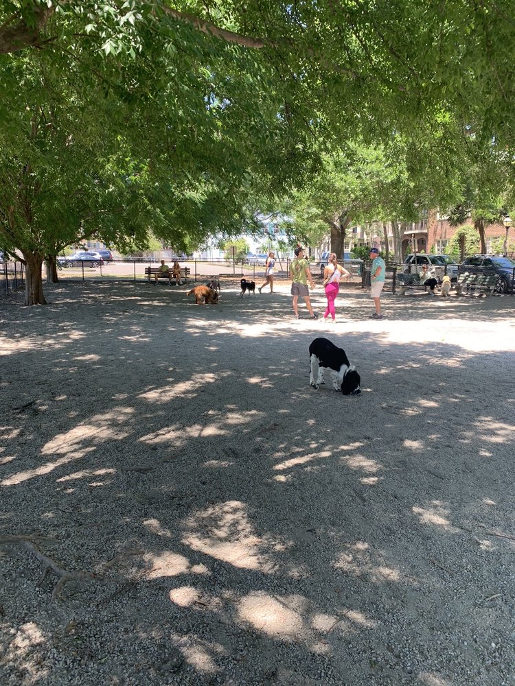 EAST BAY DOG PARK Updated October 2024 17 Photos 41 S Adgers