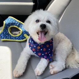 Snoopy