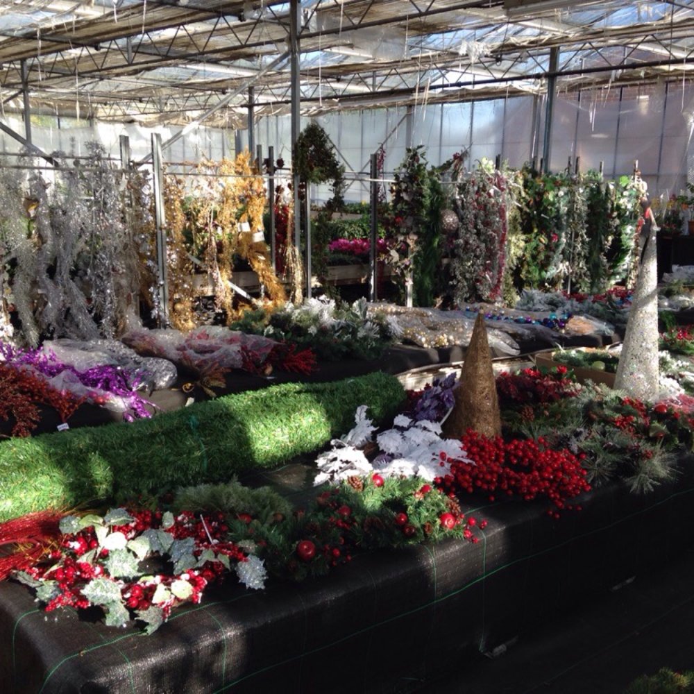 Stamford Garden Center Fasci Garden