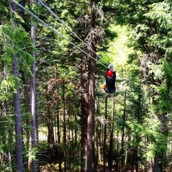 Bretton Woods Canopy Tour - Whoooshhhhh