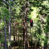 Bretton Woods Canopy Tour gift card