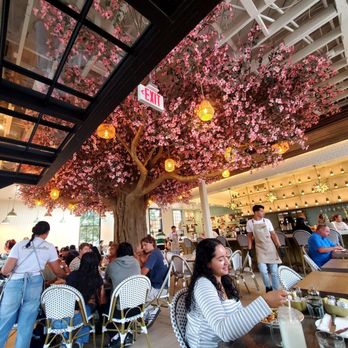 Cocina 35 - Mexican Near Me - San Diego, California