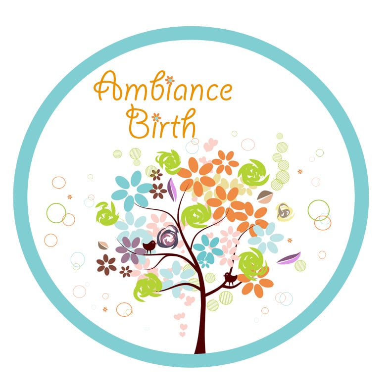 Ambiance Birth - home care agency in North Point, GA