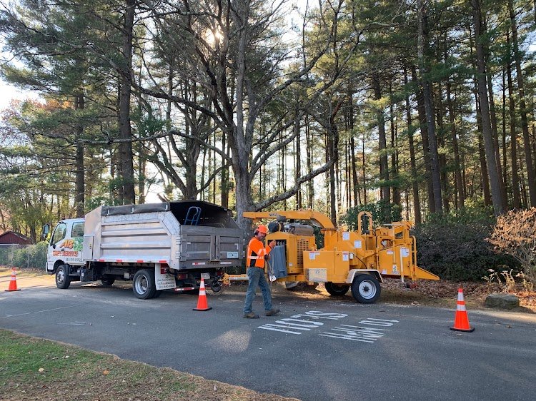 AB Tree Service - tree service in Westfield, MA