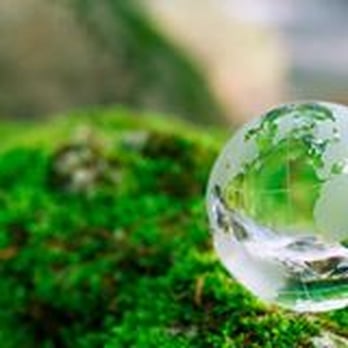 Tender Loving Clean - TLC For You AND The Planet! - Home Cleaning Near Me - Toronto, Ontario Tender Loving Clean - TLC For You AND The Planet! - Home Cleaning Near Me - Toronto, Ontario