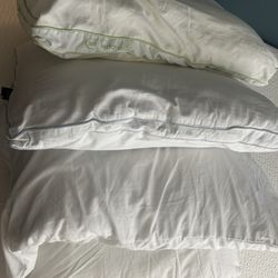 iTrip Vacations Steamboat Springs - Dirty pillows that are all old, uncomfortable and mix matched