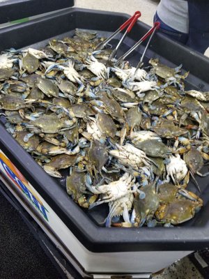 Nam Dae Mun Farmers Market by null