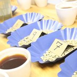 Boston Stoker Coffee Company