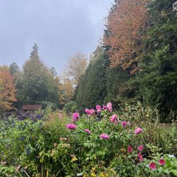 Thuya Garden and Lodge
