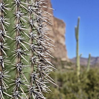 Wave Cave - Back scratcher - Hiking Near Me - Gold Canyon, Arizona Wave Cave - Back scratcher - Hiking Near Me - Gold Canyon, Arizona