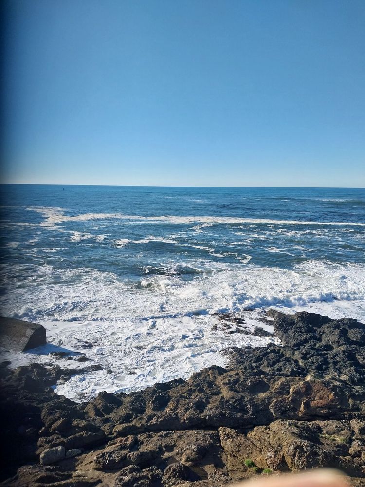 Oregon Coast At Depoe Bay Logo