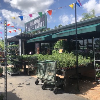 Flamingo Road Nursery - Nurseries & Gardening Near Me - Davie, Florida