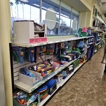 Dollar Tree - Toys - Discount Store Near Me - San Fernando, California Dollar Tree - Toys - Discount Store Near Me - San Fernando, California
