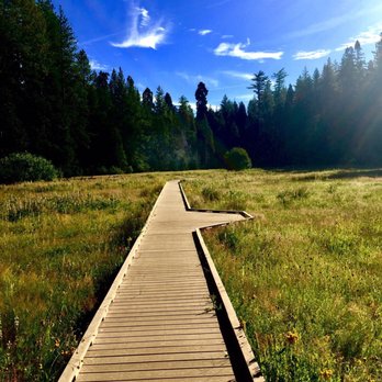 Calaveras Big Trees State Park - Sierra Meadow - Parks Near Me - Arnold, California Calaveras Big Trees State Park - Sierra Meadow - Parks Near Me - Arnold, California