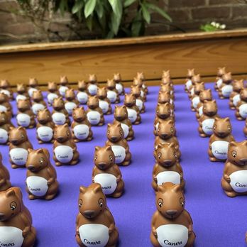 Canva Community Connect: New York - Yelp Events Near Me - Brooklyn, New York Canva Community Connect: New York - Yelp Events Near Me - Brooklyn, New York