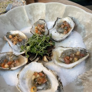 Jaja - Toasted Oysters - Cocktail Bars Near Me - Cleveland, Ohio