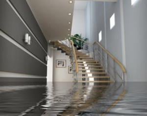 Slide of Rapid Rooter Sewer & Drain