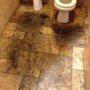 Photo of Diamond Carpet Care