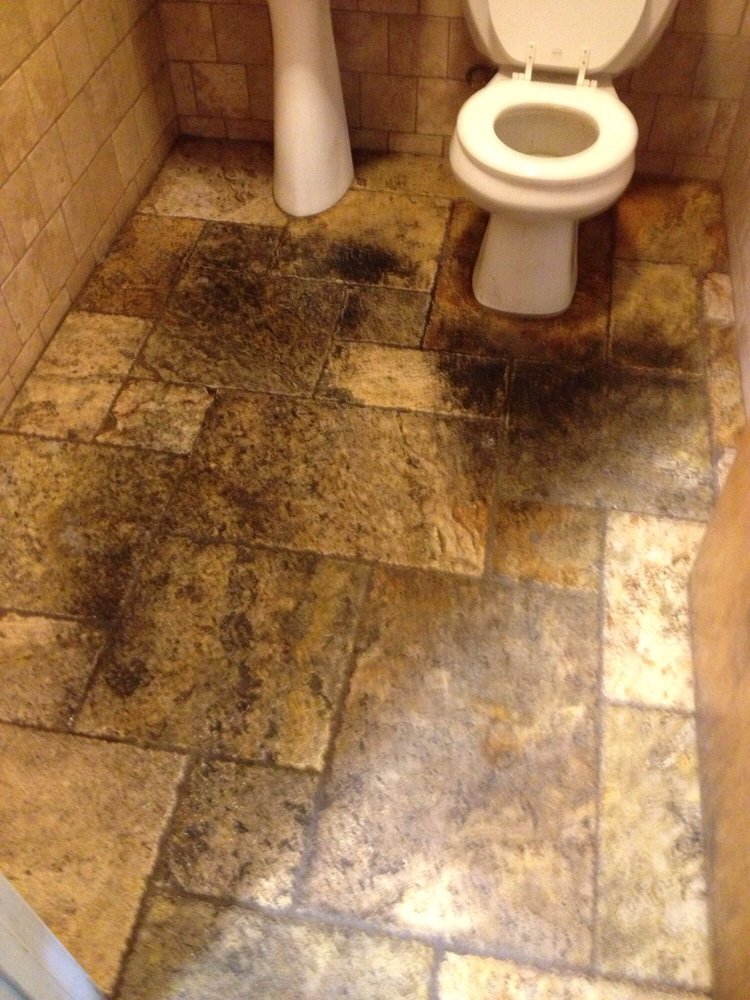 DIAMOND CARPET CARE Updated May 2024 11 Photos & 15 Reviews 3021