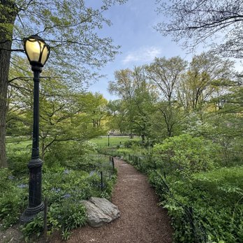 Central Park Conservancy - Parks Near Me - New York, New York