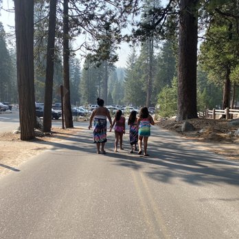 Pinecrest Lake - On our walk back to the camp site - Lakes Near Me - Pinecrest, California