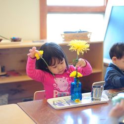 Northbrook Montessori School