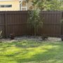 Photo of Southern Sons Lawn Care