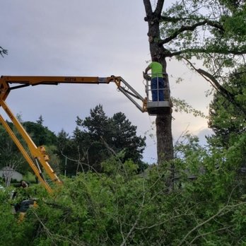 Jake The Tree Guy - Tree Services Near Me Jake The Tree Guy - Tree Services Near Me
