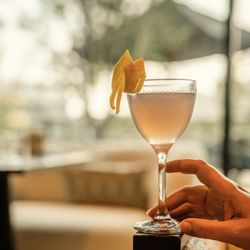 Anise at The Drey Hotel - Craft cocktail at Anise